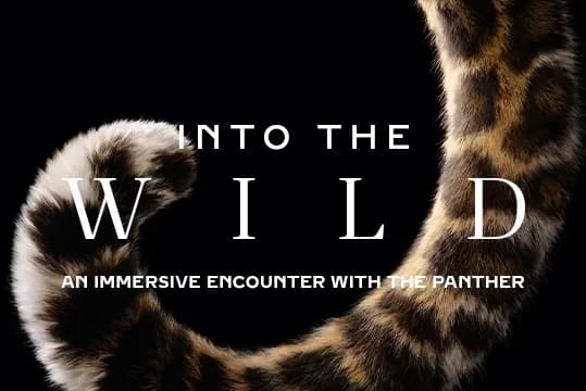 검은 배경에 표범 꼬리와 'INTO THE WILD' 글자